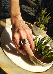 New Zealand Fern Leaf Coin Sterling Silver Ring